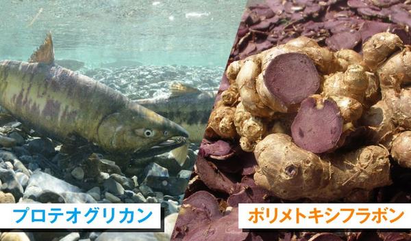 名称未設定-1 (2).jpg