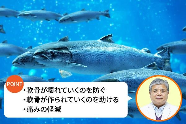 アートボード 1 のコピー-100.jpg