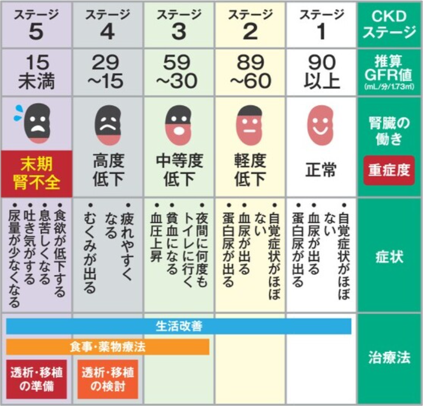 腎臓病のステージ.png