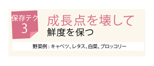 seityou_アートボード 1.png