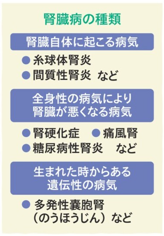 腎臓病の種類.png