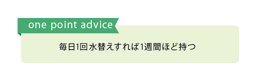 poinnt2_アートボード 1.png