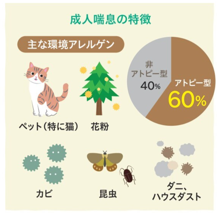 主なアレルゲン.png