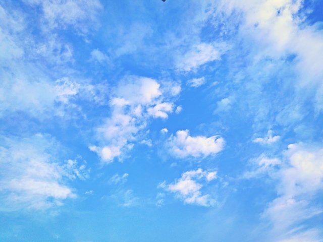 1682839_s.jpg