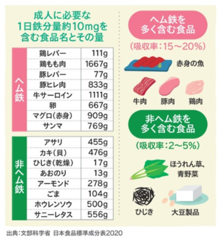 ヘム鉄と非ヘム鉄.png