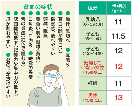 貧血の症状とHb濃度.png