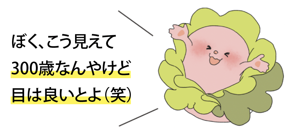 mochi.png
