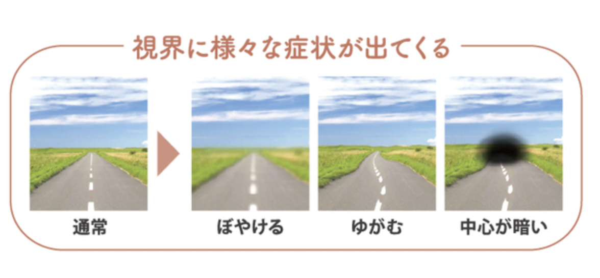 スクリーンショット 2025-12-09 15.30.51.png