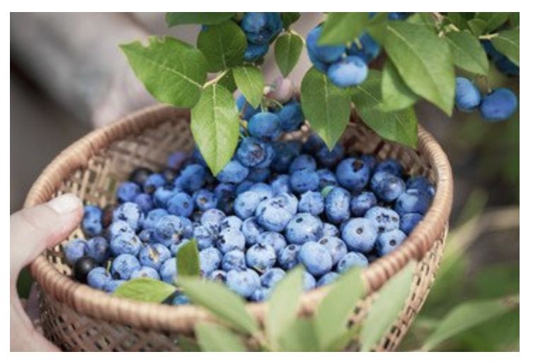 スクリーンショット 2025-12-09 14.39.07.png