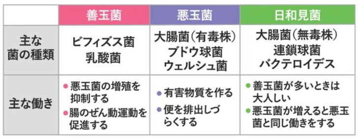 菌の種類と働き.png