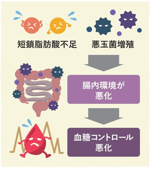 腸内環境と血糖コントロール.png