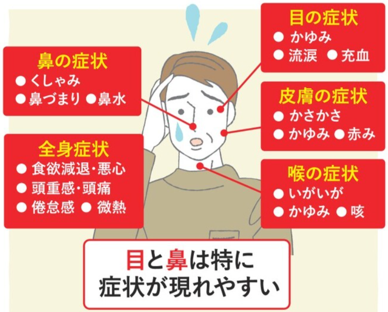 花粉症の症状.png